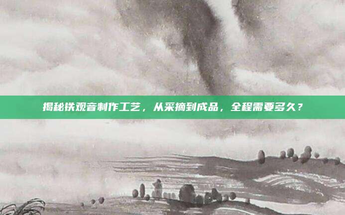 揭秘铁观音制作工艺,从采摘到成品,全程需要多久?