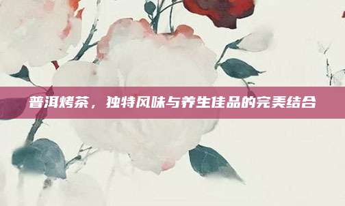 普洱烤茶,独特风味与养生佳品的完美结合