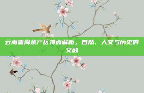 云南普洱茶产区特点解析,自然、人文与历史的交融