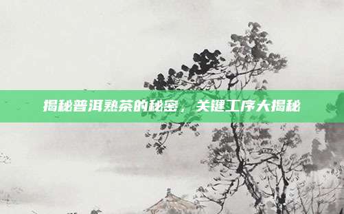揭秘普洱熟茶的秘密，关键工序大揭秘