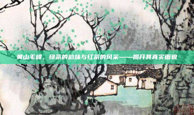 黄山毛峰,绿茶的韵味与红茶的风采——揭开其真实面貌