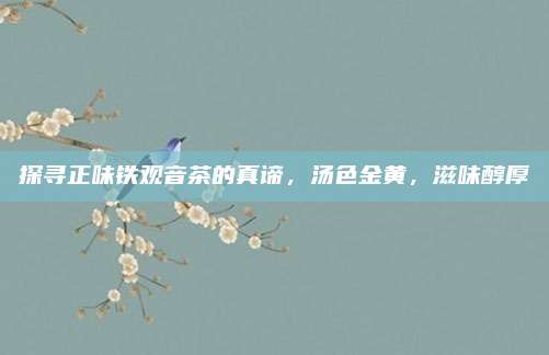 探寻正味铁观音茶的真谛，汤色金黄，滋味醇厚