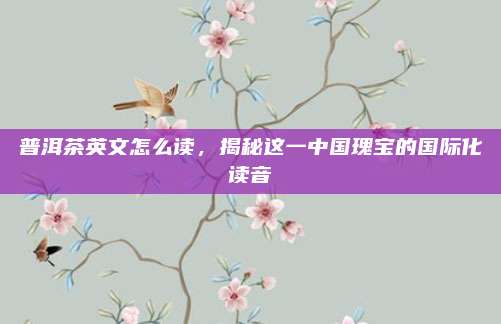 普洱茶英文怎么读,揭秘这一中国瑰宝的国际化读音