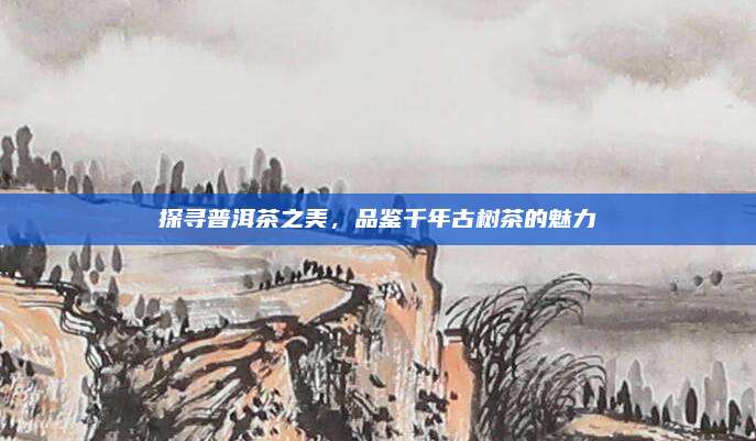 探寻普洱茶之美，品鉴千年古树茶的魅力