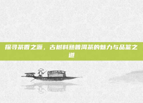 探寻茶香之源，古树料熟普洱茶的魅力与品鉴之道
