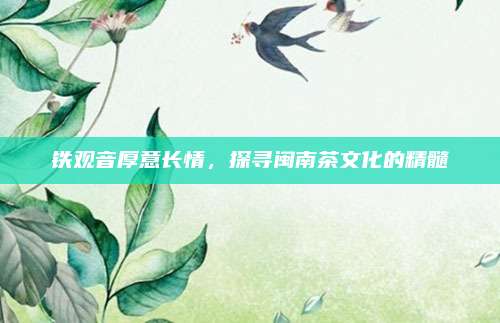 铁观音厚意长情，探寻闽南茶文化的精髓