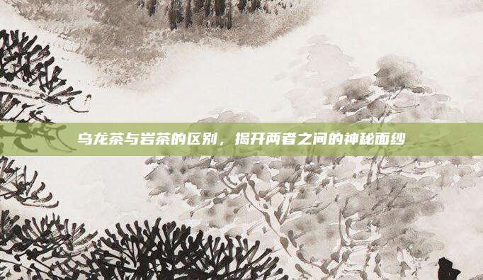 乌龙茶与岩茶的区别，揭开两者之间的神秘面纱