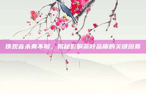 铁观音杀青不够，揭秘影响茶叶品质的关键因素
