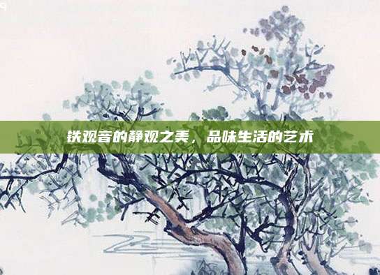 铁观音的静观之美，品味生活的艺术