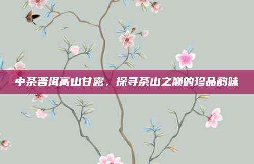 中茶普洱高山甘露，探寻茶山之巅的珍品韵味
