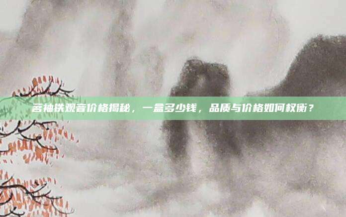 茗袖铁观音价格揭秘，一盒多少钱，品质与价格如何权衡？