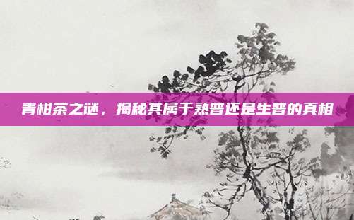 青柑茶之谜，揭秘其属于熟普还是生普的真相