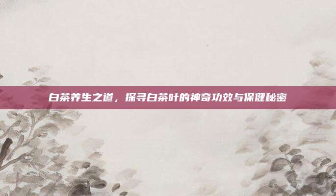 白茶养生之道，探寻白茶叶的神奇功效与保健秘密