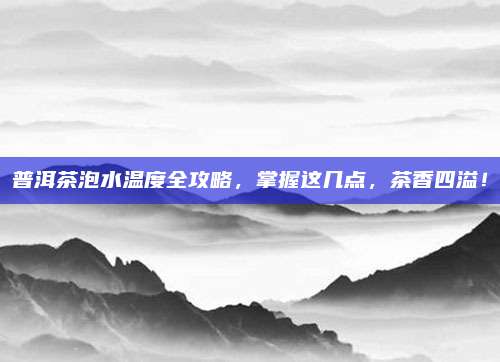 普洱茶泡水温度全攻略,掌握这几点,茶香四溢!