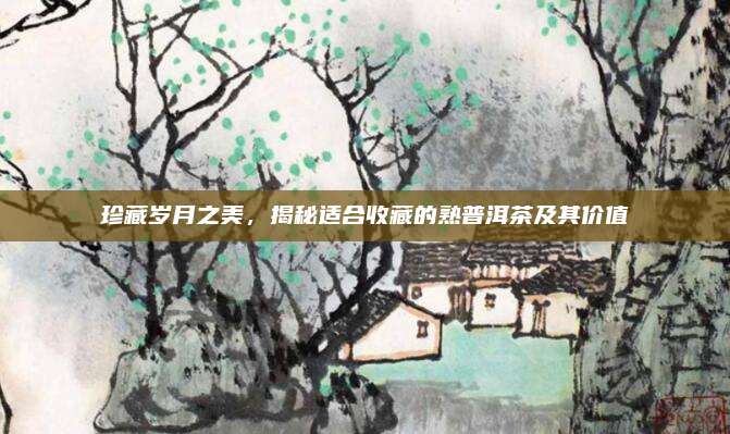 珍藏岁月之美，揭秘适合收藏的熟普洱茶及其价值