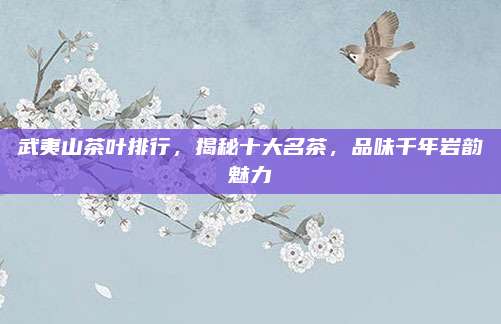 武夷山茶叶排行，揭秘十大名茶，品味千年岩韵魅力