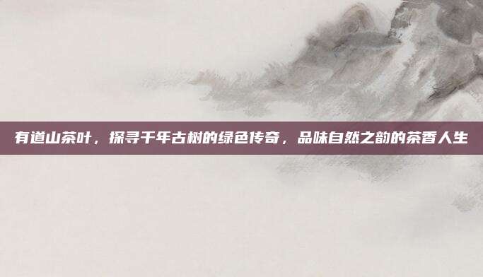 有道山茶叶，探寻千年古树的绿色传奇，品味自然之韵的茶香人生