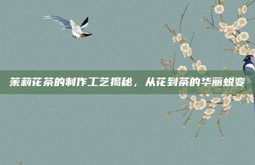 茉莉花茶的制作工艺揭秘，从花到茶的华丽蜕变