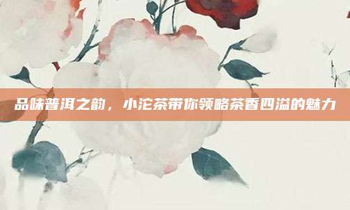 品味普洱之韵，小沱茶带你领略茶香四溢的魅力