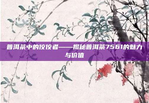 普洱茶中的佼佼者——揭秘普洱茶7561的魅力与价值