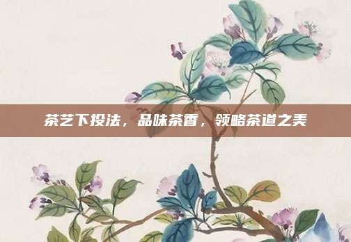 茶艺下投法,品味茶香,领略茶道之美