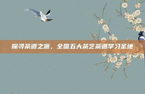 探寻茶道之源,全国五大茶艺茶道学习圣地