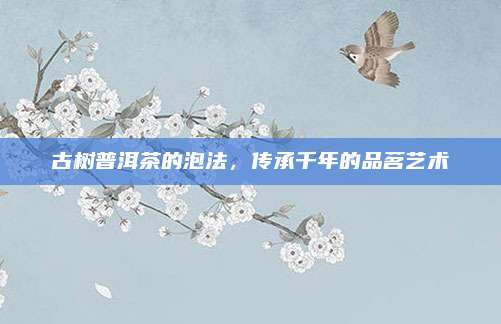 古树普洱茶的泡法，传承千年的品茗艺术