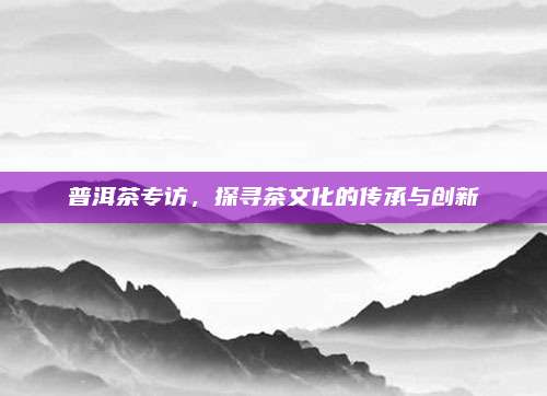 普洱茶专访，探寻茶文化的传承与创新