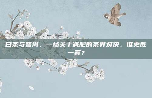 白茶与普洱,一场关于减肥的茶界对决,谁更胜一筹?