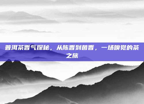 普洱茶香气探秘，从陈香到菌香，一场嗅觉的茶之旅