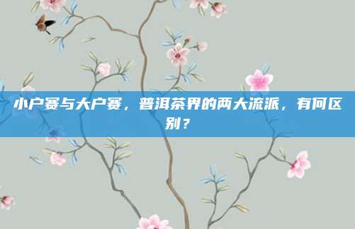 小户赛与大户赛，普洱茶界的两大流派，有何区别？