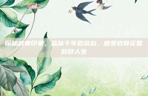 探秘武夷印象，品味千年岩茶韵，感受岩骨花香韵致人生