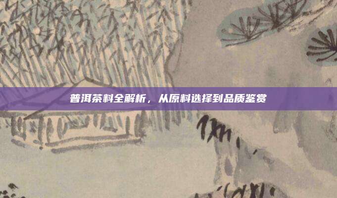 普洱茶料全解析,从原料选择到品质鉴赏