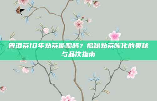 普洱茶10年熟茶能喝吗?揭秘熟茶陈化的奥秘与品饮指南