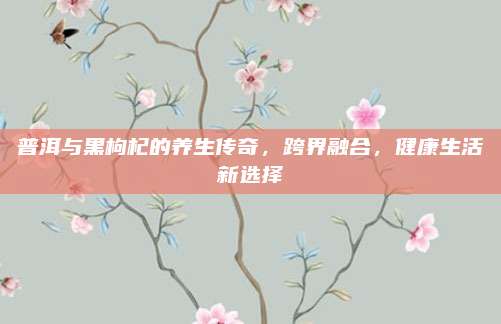 普洱与黑枸杞的养生传奇,跨界融合,健康生活新选择
