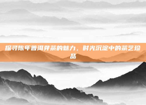 探寻陈年普洱芽茶的魅力,时光沉淀中的茶艺珍品