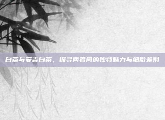 白茶与安吉白茶，探寻两者间的独特魅力与细微差别