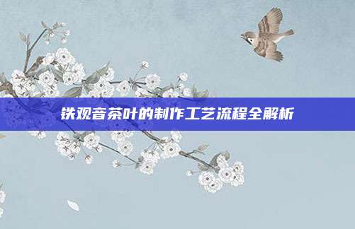 铁观音茶叶的制作工艺流程全解析