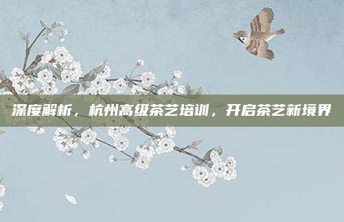 深度解析,杭州高级茶艺培训,开启茶艺新境界