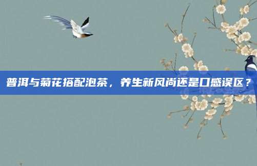 普洱与菊花搭配泡茶,养生新风尚还是口感误区?
