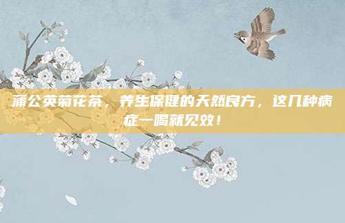 蒲公英菊花茶，养生保健的天然良方，这几种病症一喝就见效！