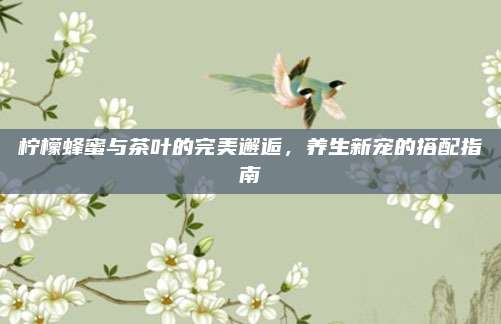 柠檬蜂蜜与茶叶的完美邂逅,养生新宠的搭配指南