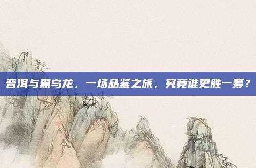 普洱与黑乌龙，一场品鉴之旅，究竟谁更胜一筹？