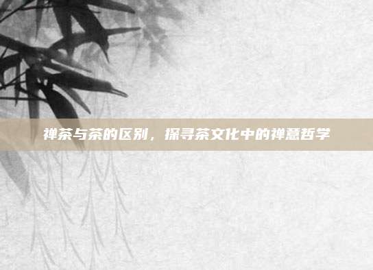 禅茶与茶的区别，探寻茶文化中的禅意哲学