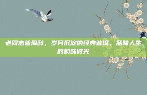 老同志普洱醇，岁月沉淀的经典普洱，品味人生的韵味时光