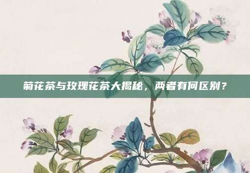 菊花茶与玫瑰花茶大揭秘，两者有何区别？