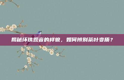 揭秘坏铁观音的样貌，如何辨别茶叶变质？