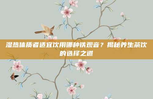 湿热体质者适宜饮用哪种铁观音？揭秘养生茶饮的选择之道