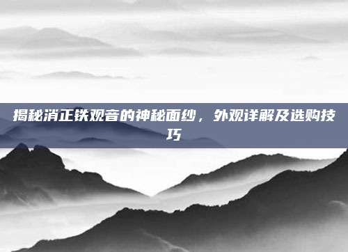 揭秘消正铁观音的神秘面纱，外观详解及选购技巧