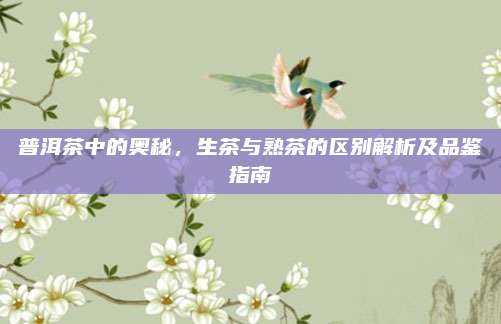 普洱茶中的奥秘，生茶与熟茶的区别解析及品鉴指南